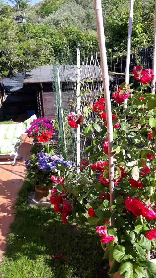 B&b Villa C'era Una Volta Marina di Massa Esterno foto