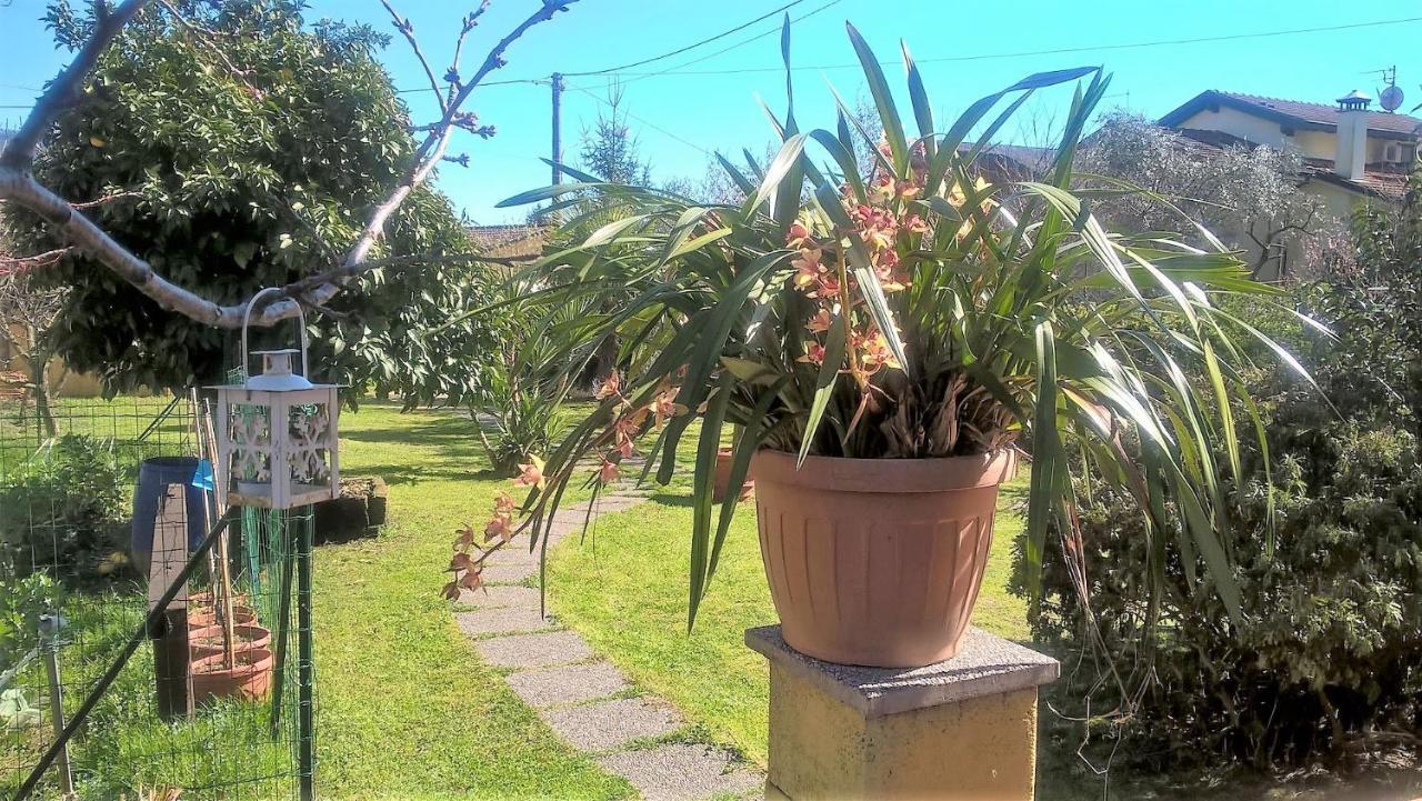 B&b Villa C'era Una Volta Marina di Massa Esterno foto