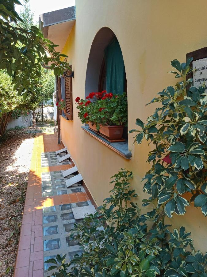 B&b Villa C'era Una Volta Marina di Massa Esterno foto