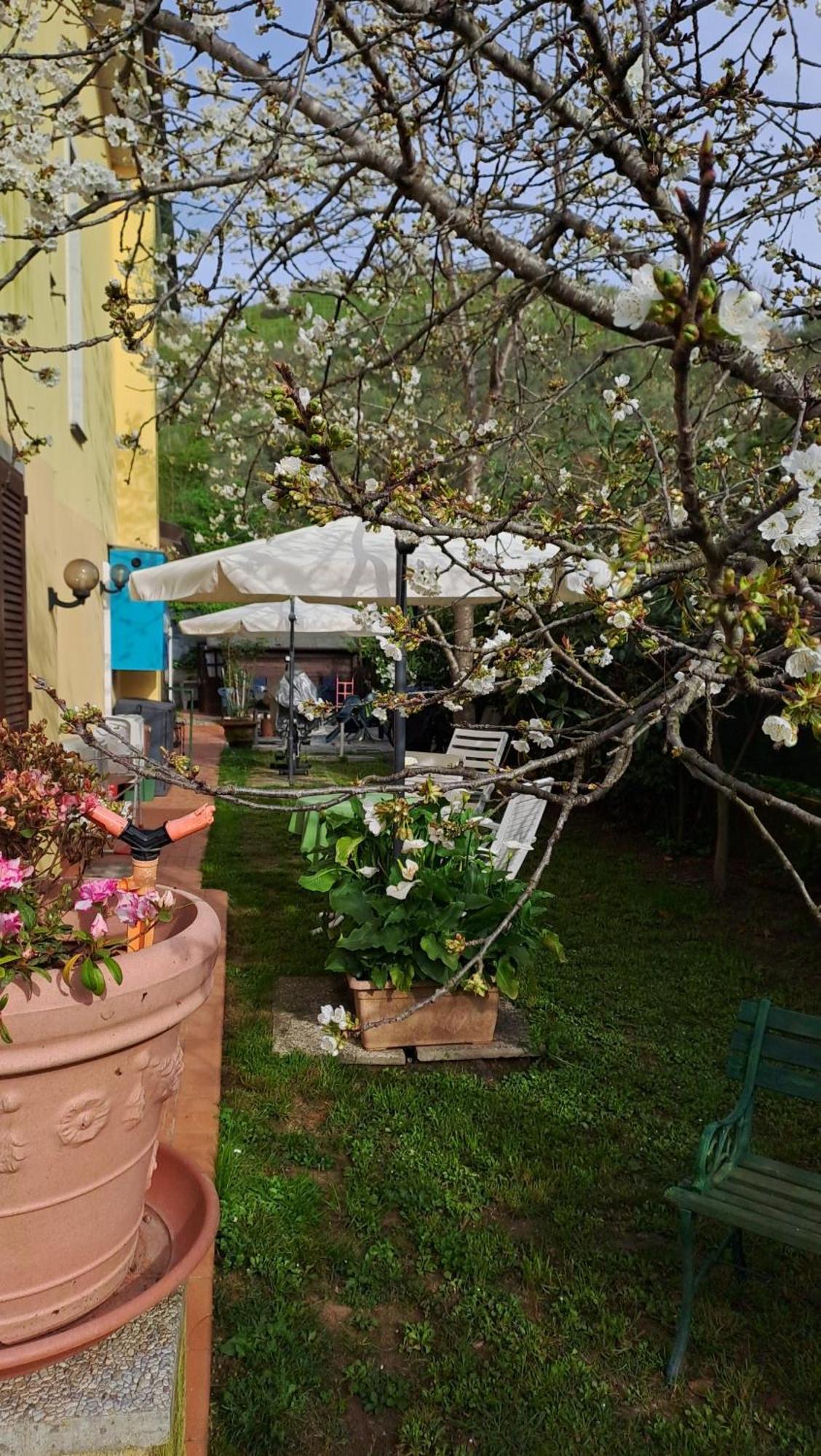 B&b Villa C'era Una Volta Marina di Massa Esterno foto